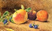 Hill, John William Study of Fruit china oil painting artist